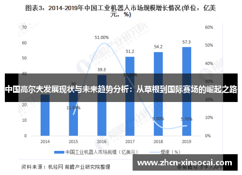 中国高尔夫发展现状与未来趋势分析：从草根到国际赛场的崛起之路